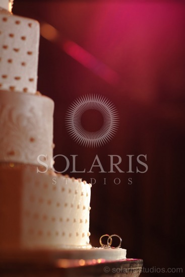 Houston Wedding Photographer