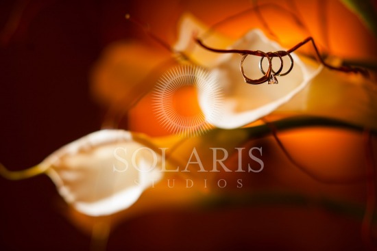 Houston Wedding Photographer