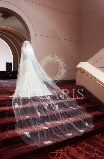 Houston Wedding Photographer