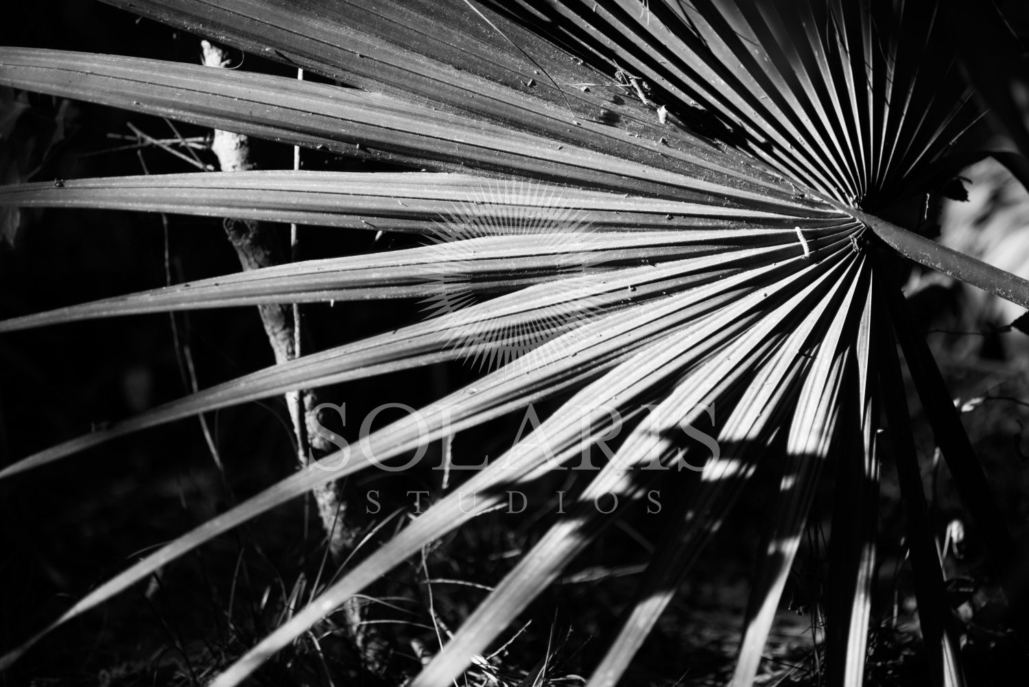 Gavin Hoek, National Forest Camp Out, Troop 846