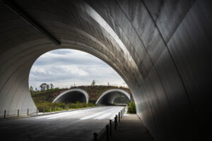 Memorial Drive in Memorial Park - Houston, TX