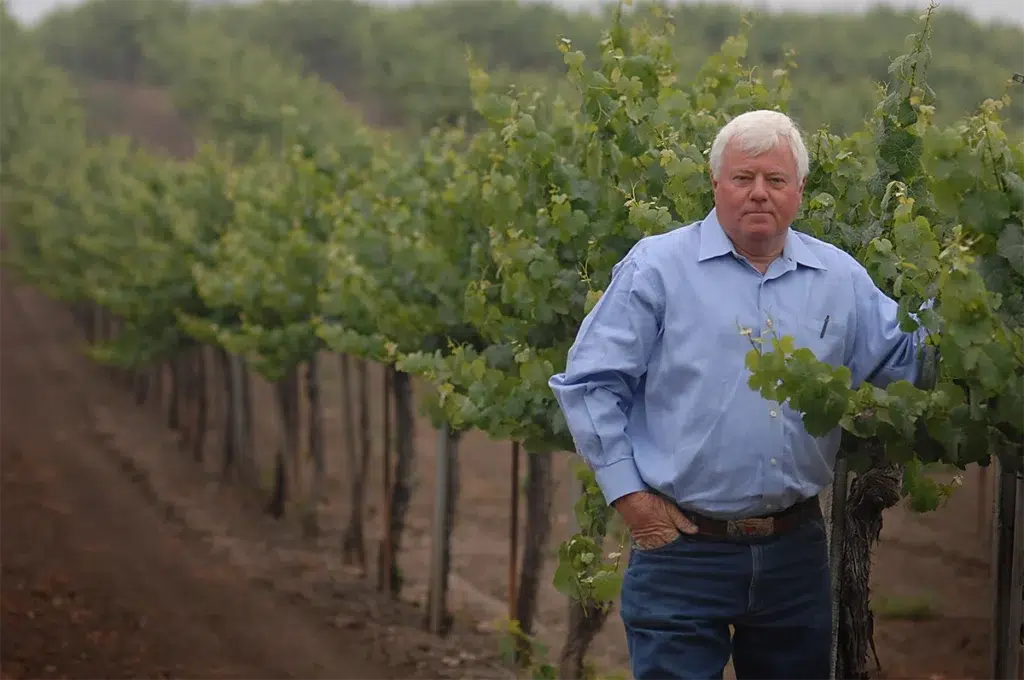 Environmental executive portrait of vineyard owner standing among grape vines photographed with natural daylight and shallow depth of field for winery leadership branding