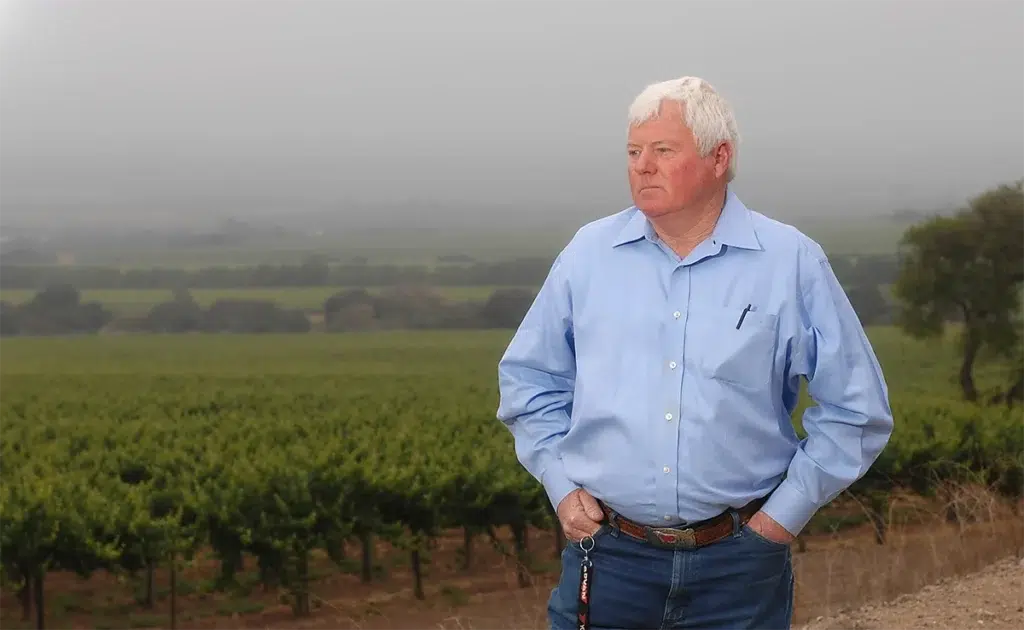 Environmental executive portrait of vineyard owner overlooking winery landscape photographed with natural overcast lighting and expansive agricultural background for leadership branding