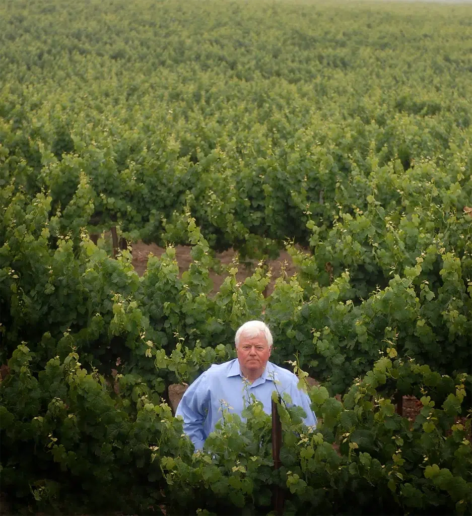 Environmental executive portrait of vineyard owner standing among grape vines photographed with natural daylight and wide agricultural landscape composition for leadership branding