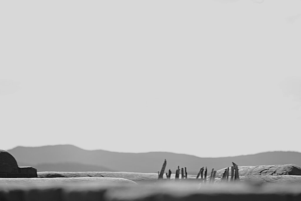 black and white landscape photo